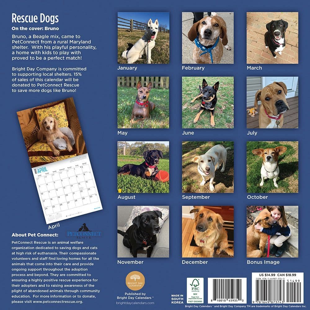 Rescue Dogs 2022 Wall Calendar - Calendars.com