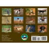 image Hunting Dogs and Upland Birds 2026 Wall Calendar First Alternate Image