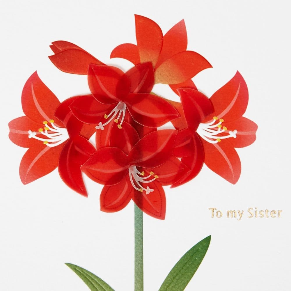 Vellum Amaryllis Christmas Card Third Alternate Image width="1000" height="1000"