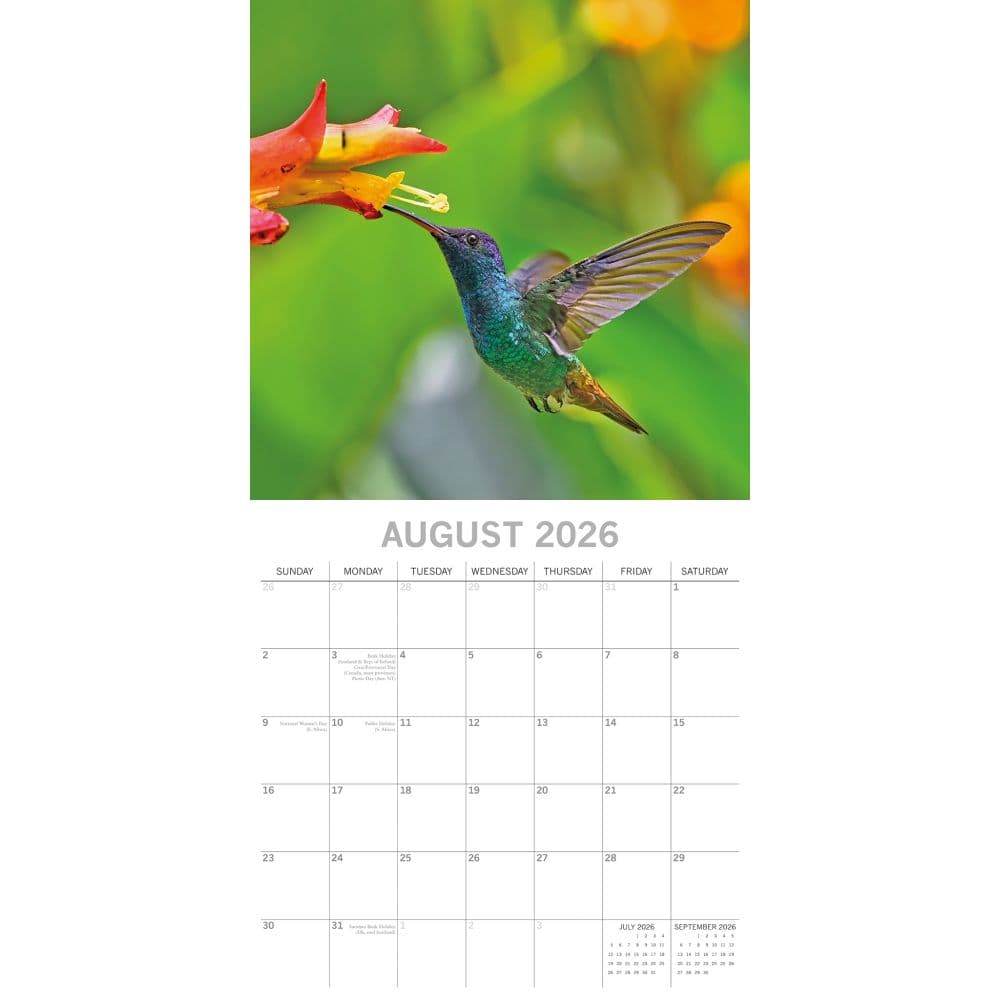 Exotic Birds 2026 Wall Calendar Third Alternate Image