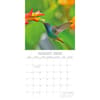 image Exotic Birds 2026 Wall Calendar Third Alternate Image