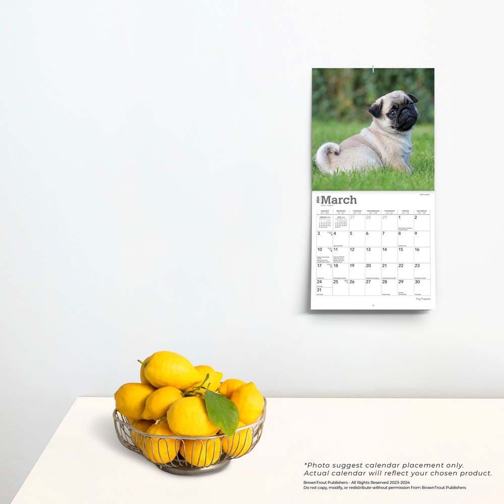 Pug Puppies 2024 Mini Wall Calendar Third Alternate Image width=&quot;1000&quot; height=&quot;1000&quot;