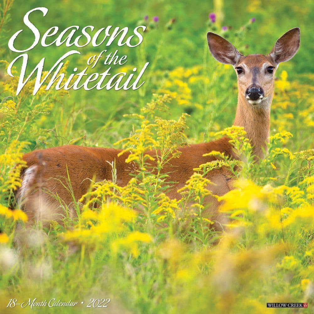 Deer Whitetail Seasons 2022 Wall Calendar