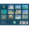image Saltwater Flyfishing 2027 Wall Calendar First Alternate Image