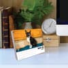 image Just Boston Terriers 2025 Desk Calendar Third Alternate Image