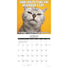 image Cat Astrophe 2026 Wall Calendar Second Alternate Image