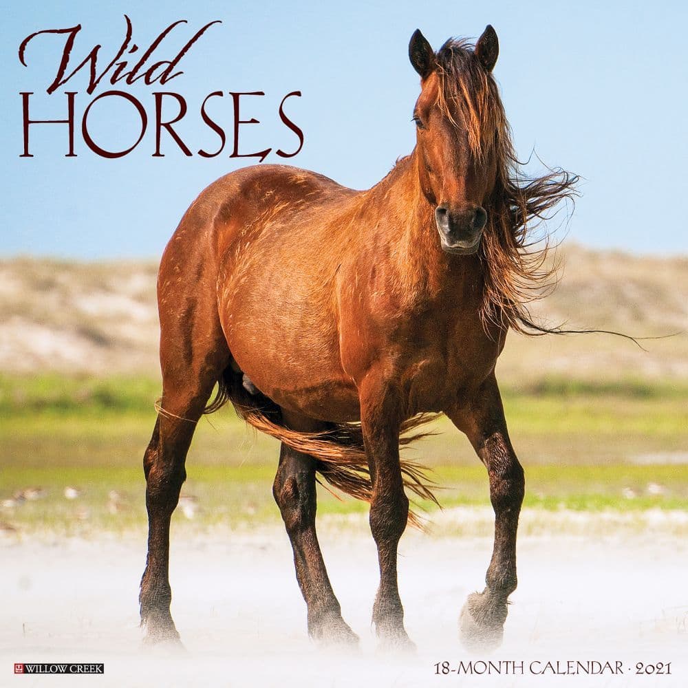 Wild Horses 2021 Calendars