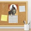 image Mandalorian Star Wars 2025 Mini Wall Calendar Alt4