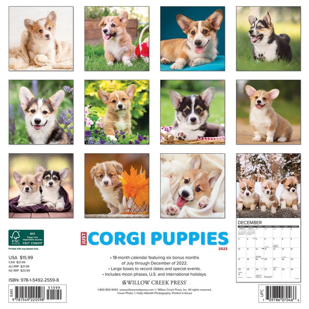 Corgi Puppies 2023 Wall Calendar - Calendars.com