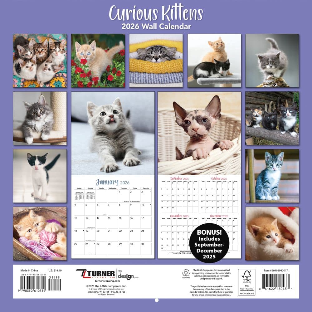Curious Kittens 2026 Wall Calendar_ALT1