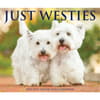 image Just Westies 2025 Desk Calendar Main Image