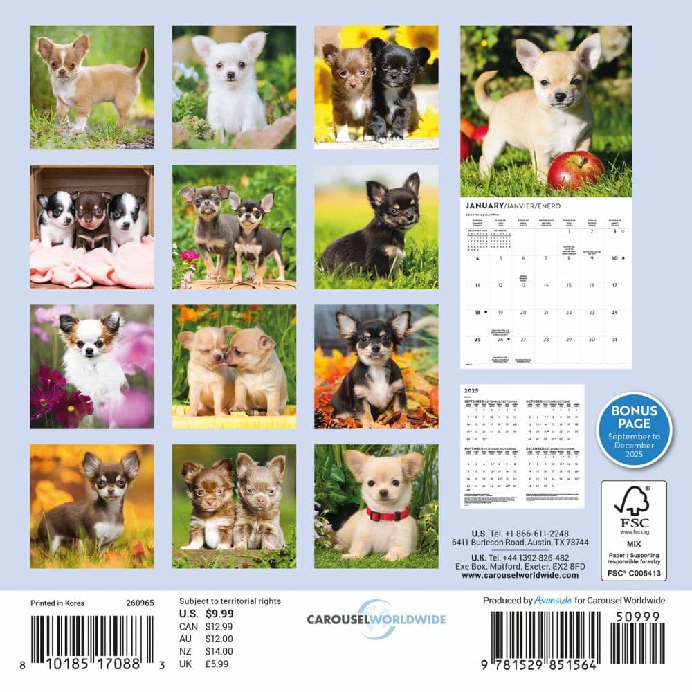 Chihuahua Puppies 2026 Mini Wall Calendar First Alternate Image