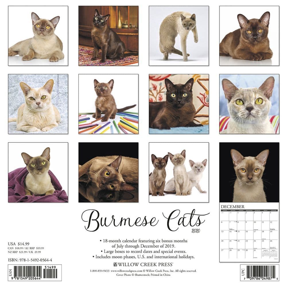 Burmese Cats Wall Calendar