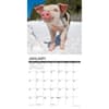 image 12 Little Piggies 2025 Wall Calendar