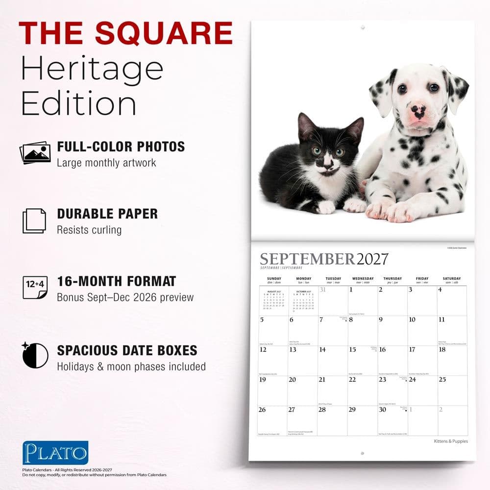 Kittens And Puppies Plato 2027 Wall Calendar Fifth Alternate Image