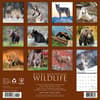 image Rocky Mountain Wildlife 2025 Wall Calendar