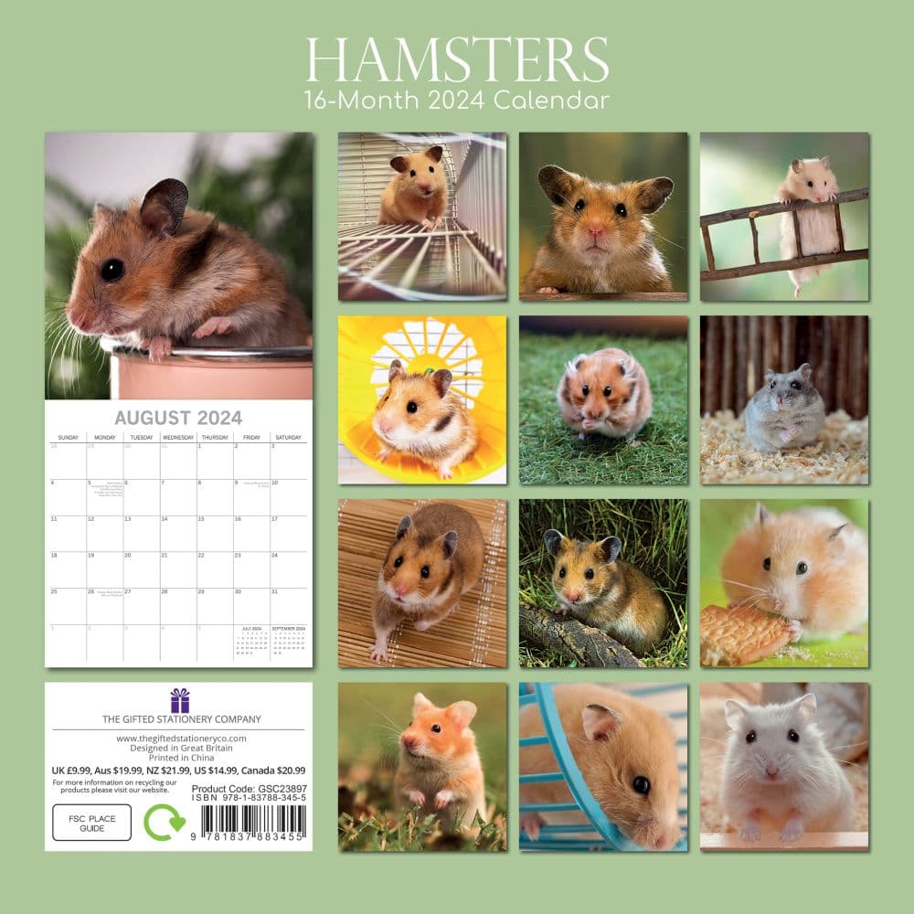 Hamsters 2024 Wall Calendar