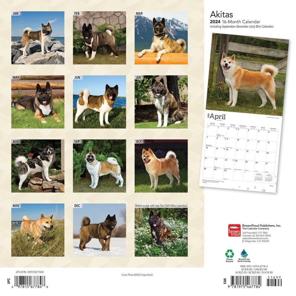 Akitas 2024 Wall Calendar