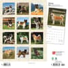 image Akitas 2024 Wall Calendar First Alternate Image width=&quot;1000&quot; height=&quot;1000&quot;