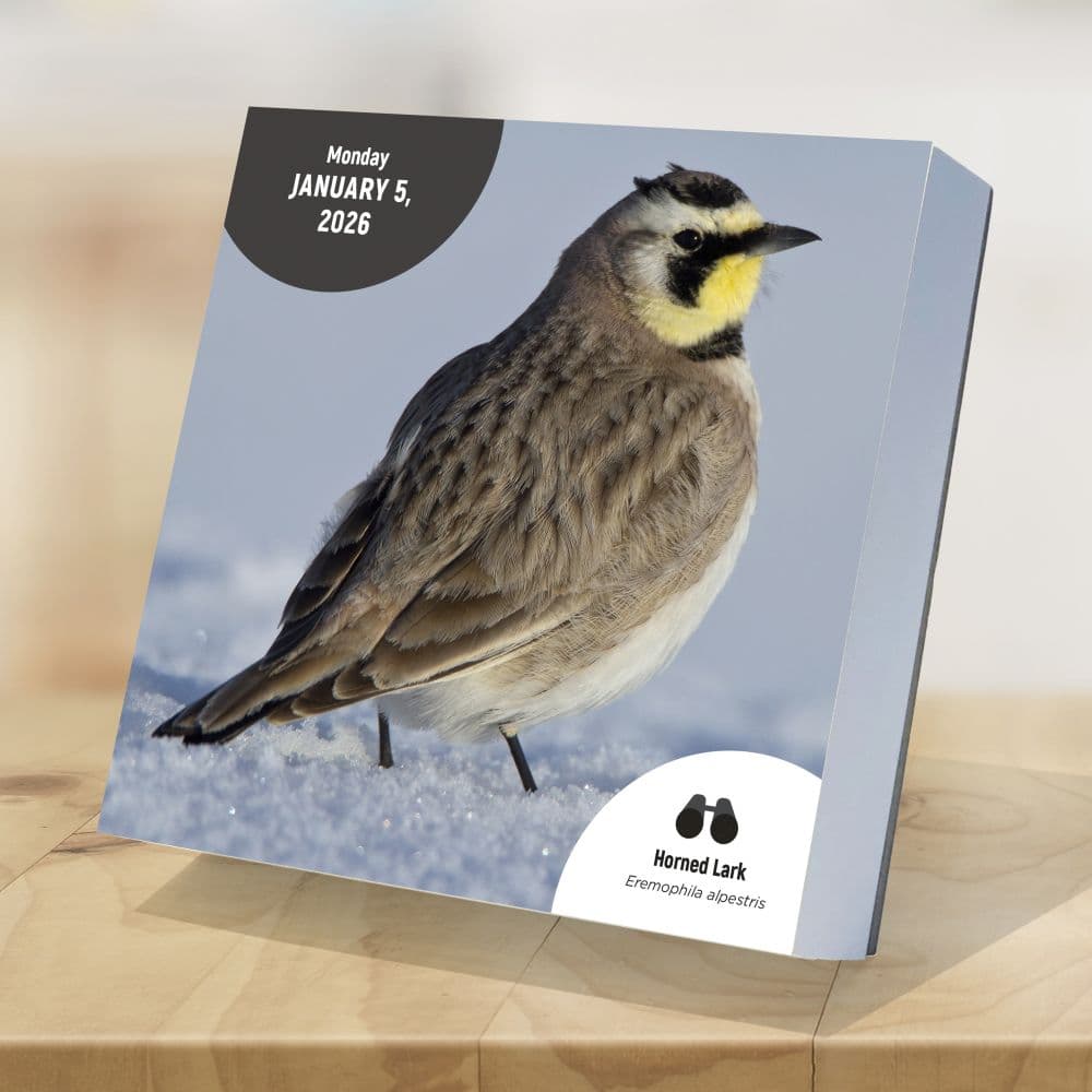 Birds Backyard And Beyond 2026 Desk Calendar Third Alternate Image