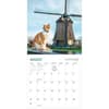 image Travel Cats 2025 Wall Calendar Main Product Image Fourth Alternate Image