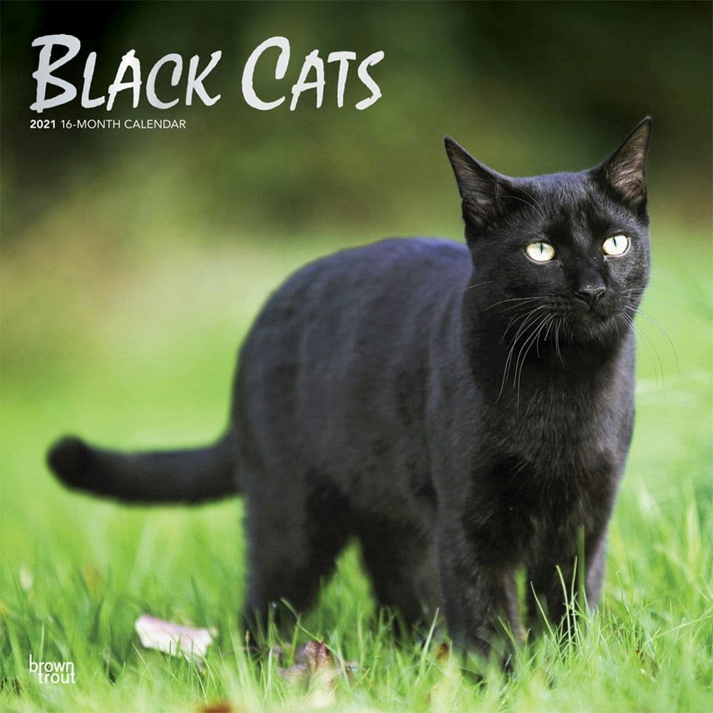 Black Cats 2021 Calendar