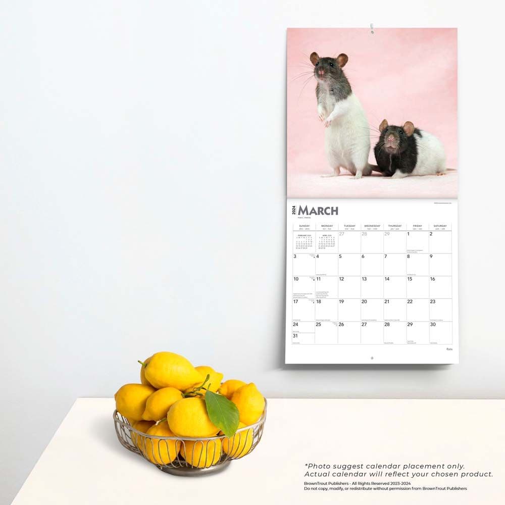 Rats 2024 Wall Calendar