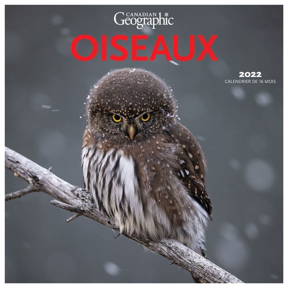Geo Calendrier 2023 Canadian Geographic Oiseaux 2022 Wall Calendar - Calendars.com