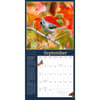 image Audubon Garden Birds 2025 Wall Calendar Third Alternate Image width="1000" height="1000"