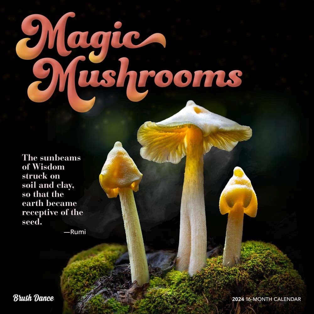 Magic Mushrooms 2024 Wall Calendar Main Product Image width=&quot;1000&quot; height=&quot;1000&quot;