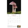 image Wondrous World of Mushrooms 2027 Wall Calendar Third Alternate Image