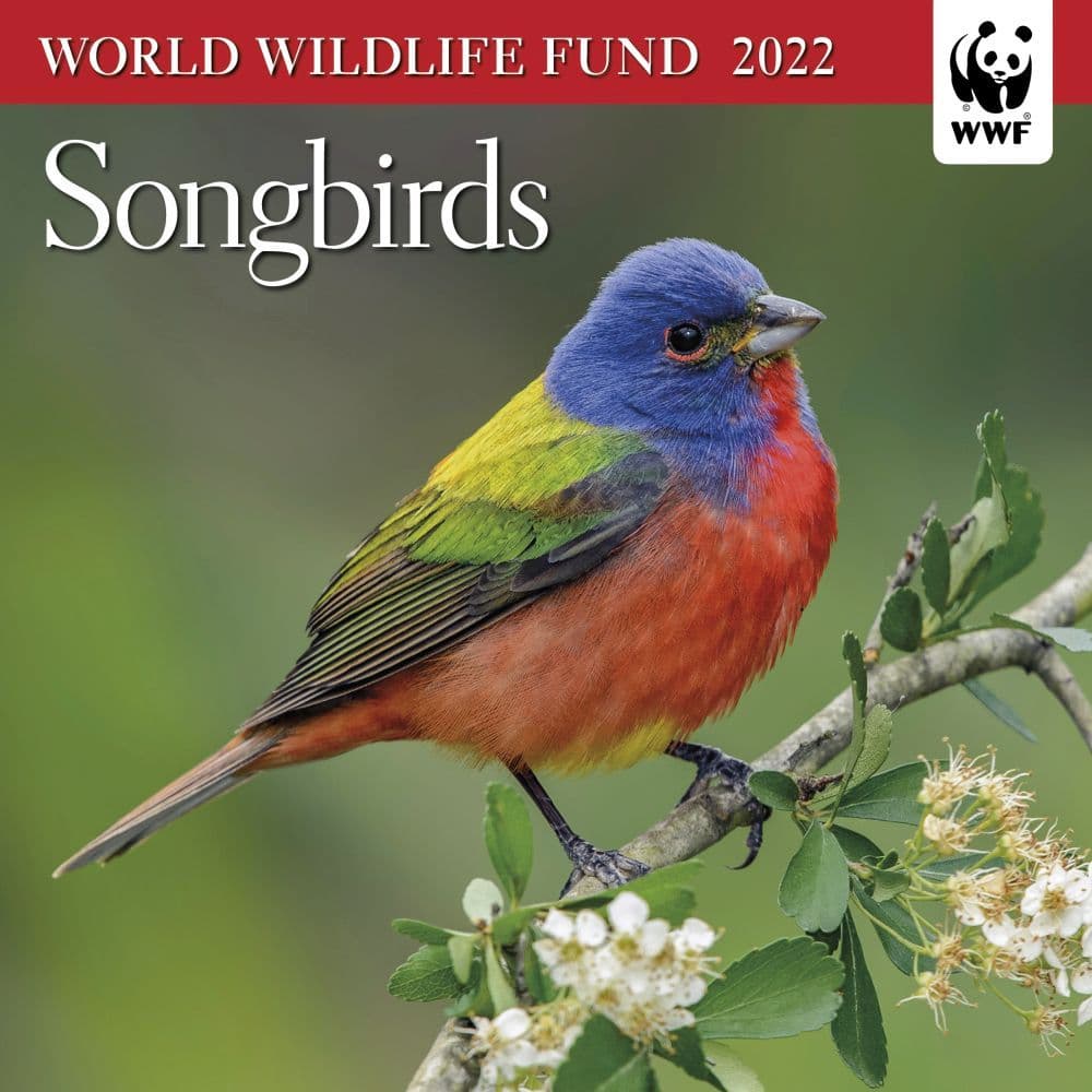 WWF Songbirds 2022 Mini Wall Calendar