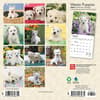 image West Highland Terrier Puppies 2024 Mini Wall Calendar First Alternate Image width=&quot;1000&quot; height=&quot;1000&quot;