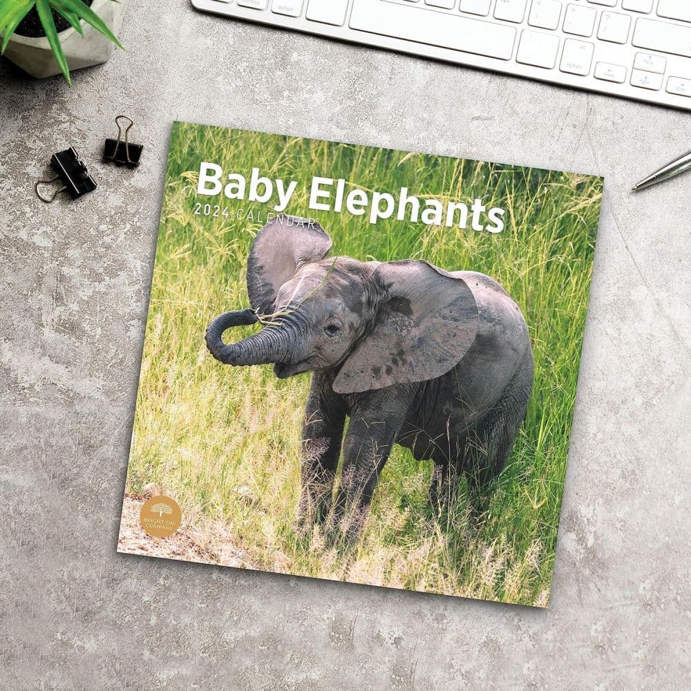 Baby Elephants 2024 Wall Calendar Fifth Alternate Image width=&quot;1000&quot; height=&quot;1000&quot;