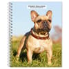 image French Bulldogs 2025 Engagement Planner Main Image