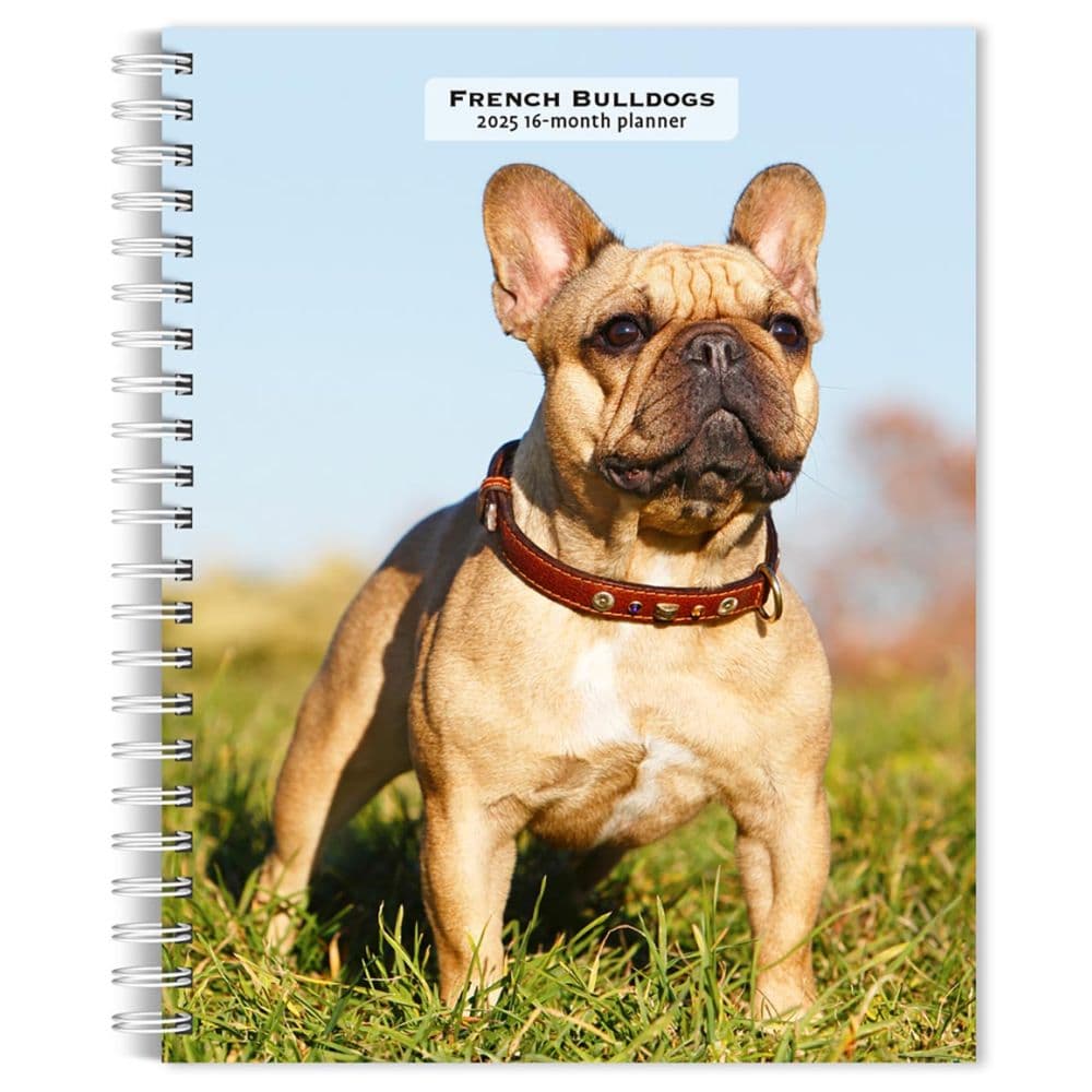 French Bulldogs 2025 Engagement Planner Main Image