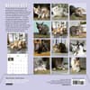 image Cats on Catnip 2025 Wall Calendar Fourth Alternate Image width=&quot;1000&quot; height=&quot;1000&quot;