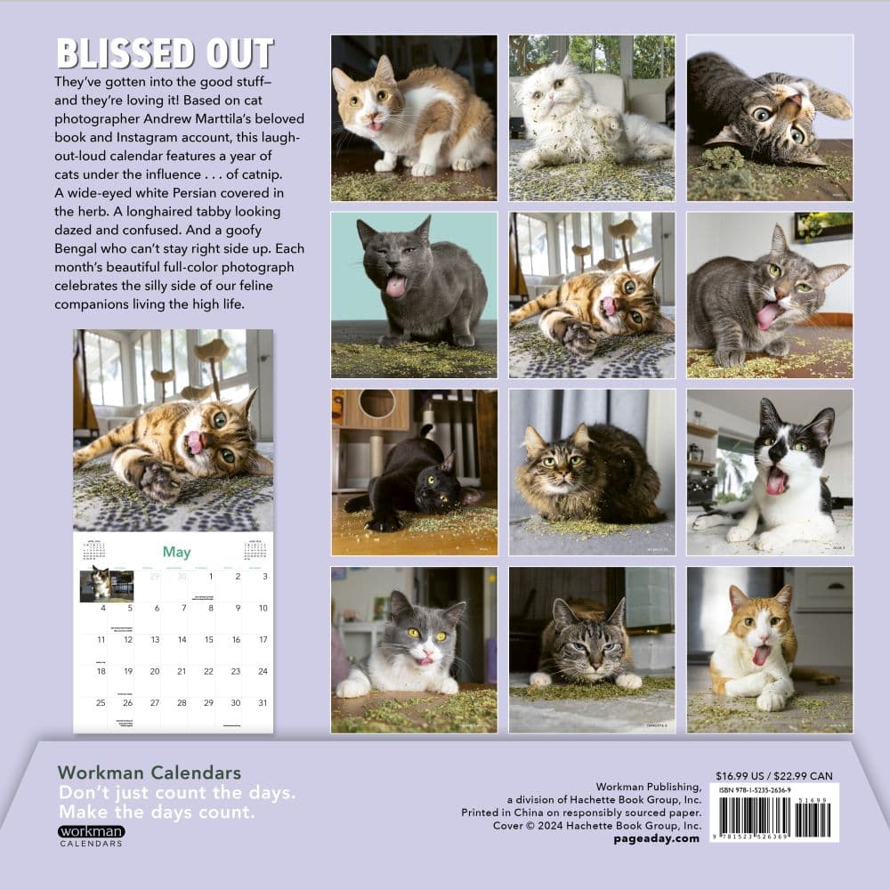 Cats on Catnip 2025 Wall Calendar Fourth Alternate Image width="1000" height="1000"