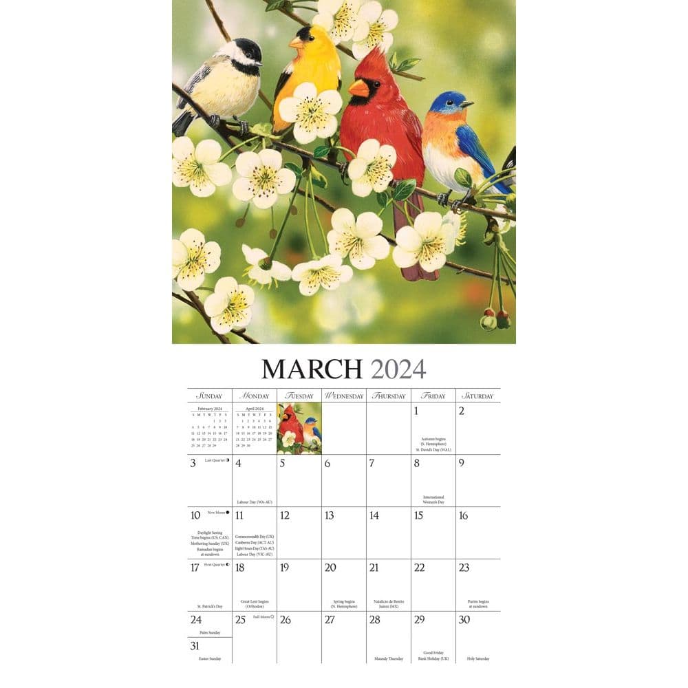 Feathered Friends 2024 Mini Wall Calendar Second Alternate Image width=&quot;1000&quot; height=&quot;1000&quot;