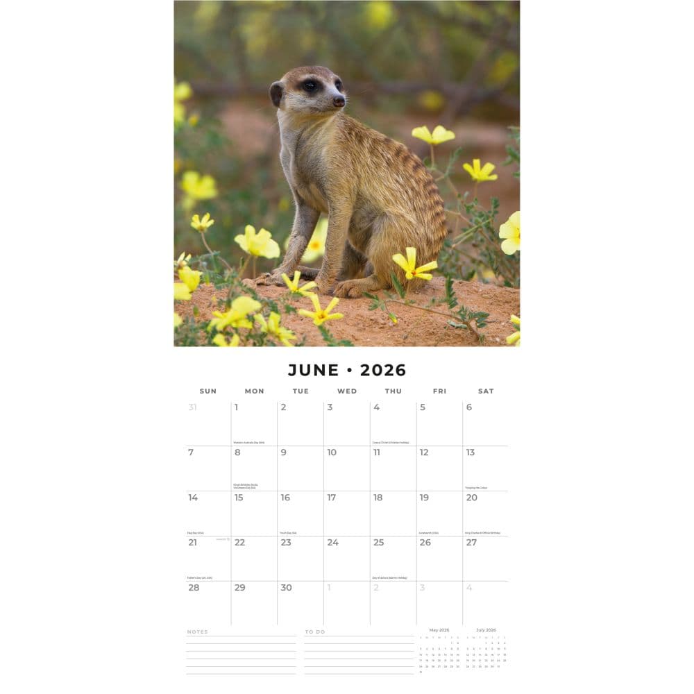 Meerkats 2026 Wall Calendar Second Alternate Image
