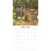 image Meerkats 2026 Wall Calendar Second Alternate Image