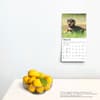 image Dachshund Puppies 2025 Mini Wall Calendar Fourth Alternate Image width=&quot;1000&quot; height=&quot;1000&quot;