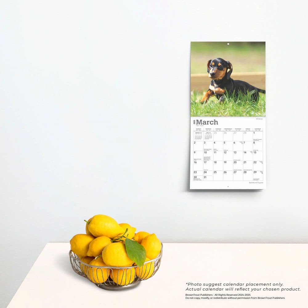 Dachshund Puppies 2025 Mini Wall Calendar Fourth Alternate Image width=&quot;1000&quot; height=&quot;1000&quot;