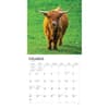 image Cows 2024 Wall Calendar Second Alternate Image width=&quot;1000&quot; height=&quot;1000&quot;