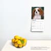 image Cavalier King Charles Puppies 2024 Mini Wall Calendar Alternate Image 3