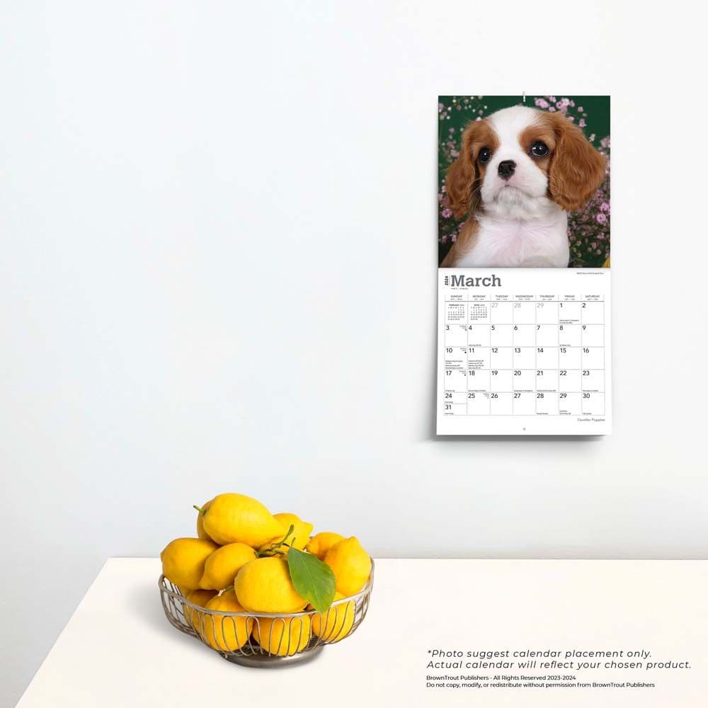 Cavalier King Charles Puppies 2024 Mini Wall Calendar Alternate Image 3
