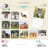 image Australian Shepherds 2025 Wall Calendar