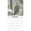 image Birds Of Prey Photo 2025 Wall Calendar Alt2