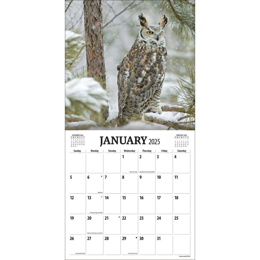 Birds Of Prey Photo 2025 Wall Calendar Alt2