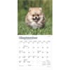 image Pomeranian 2025 Mini Wall Calendar